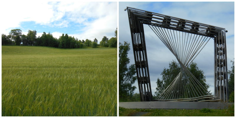 Trondheimsfjord walk