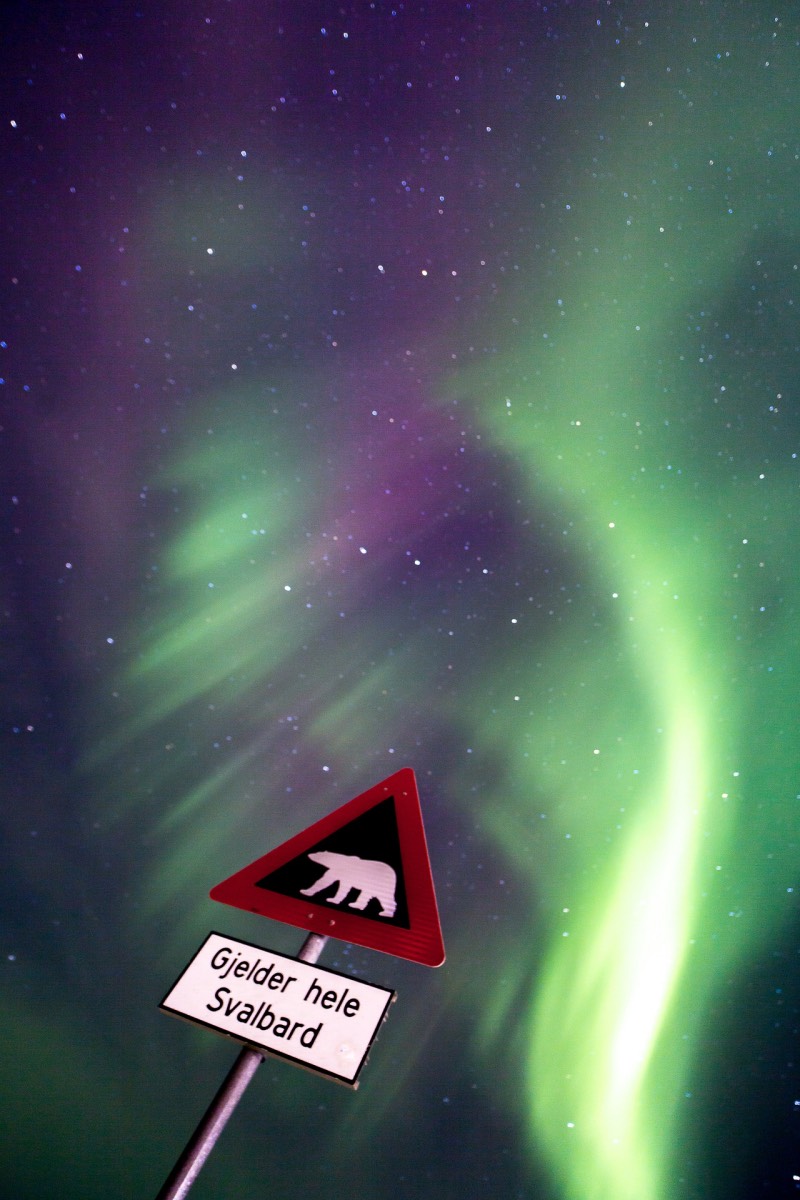 Polar bear sign under the northern lights in Svalbard