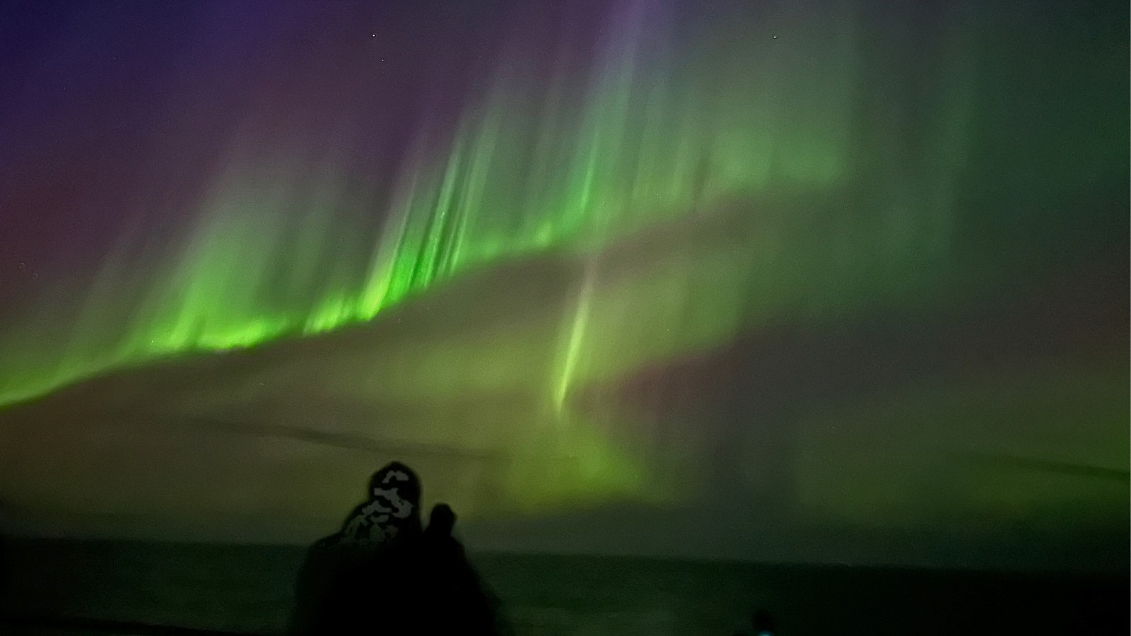 Photo of the Northern Lights off the coast of Norway. Photo: David Nikel.