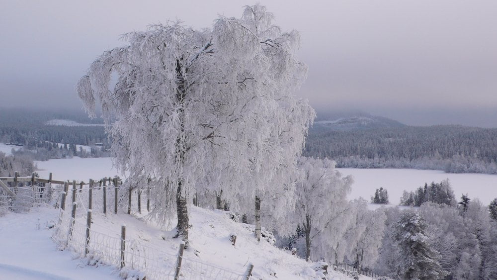 Winter mood in Landåsbygda.