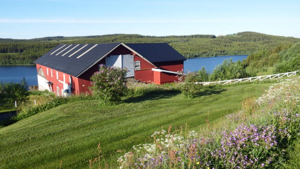 Landåsen farm in Landåsbygda