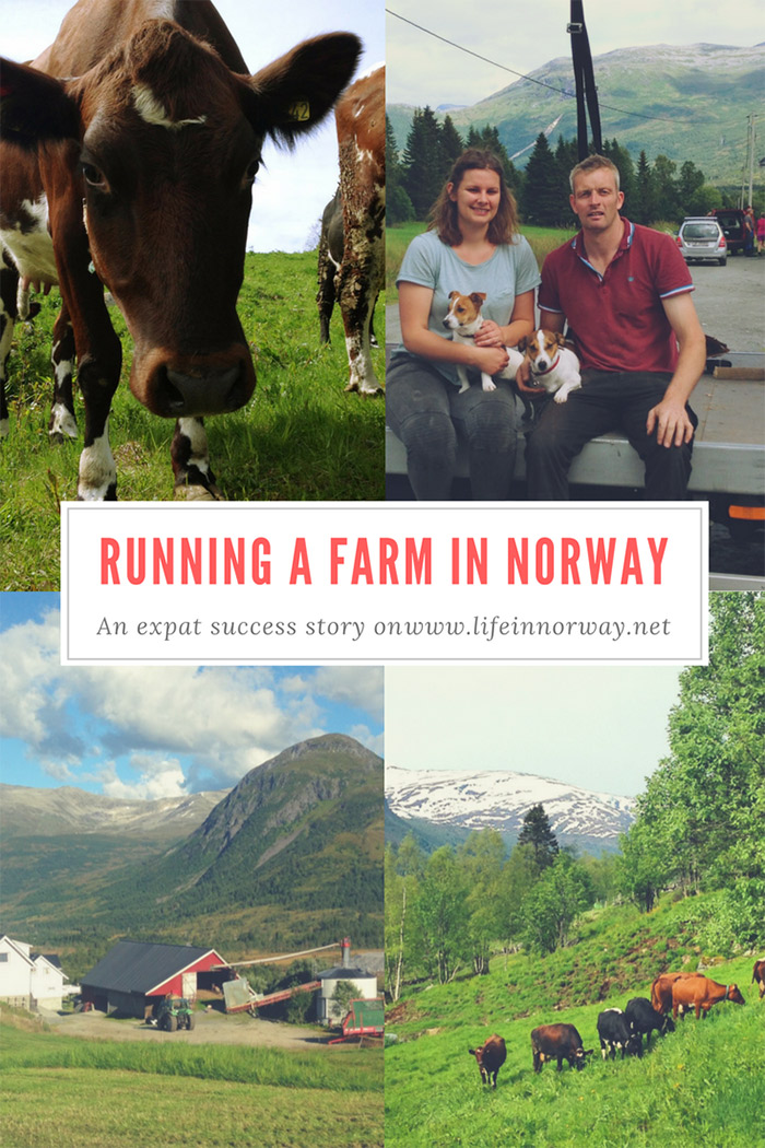 Some British farmers explain how to run a farm in the Norwegian fjords