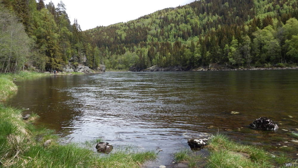 Walking along the Gudbrandslågen river on the Fåberg cultural trail