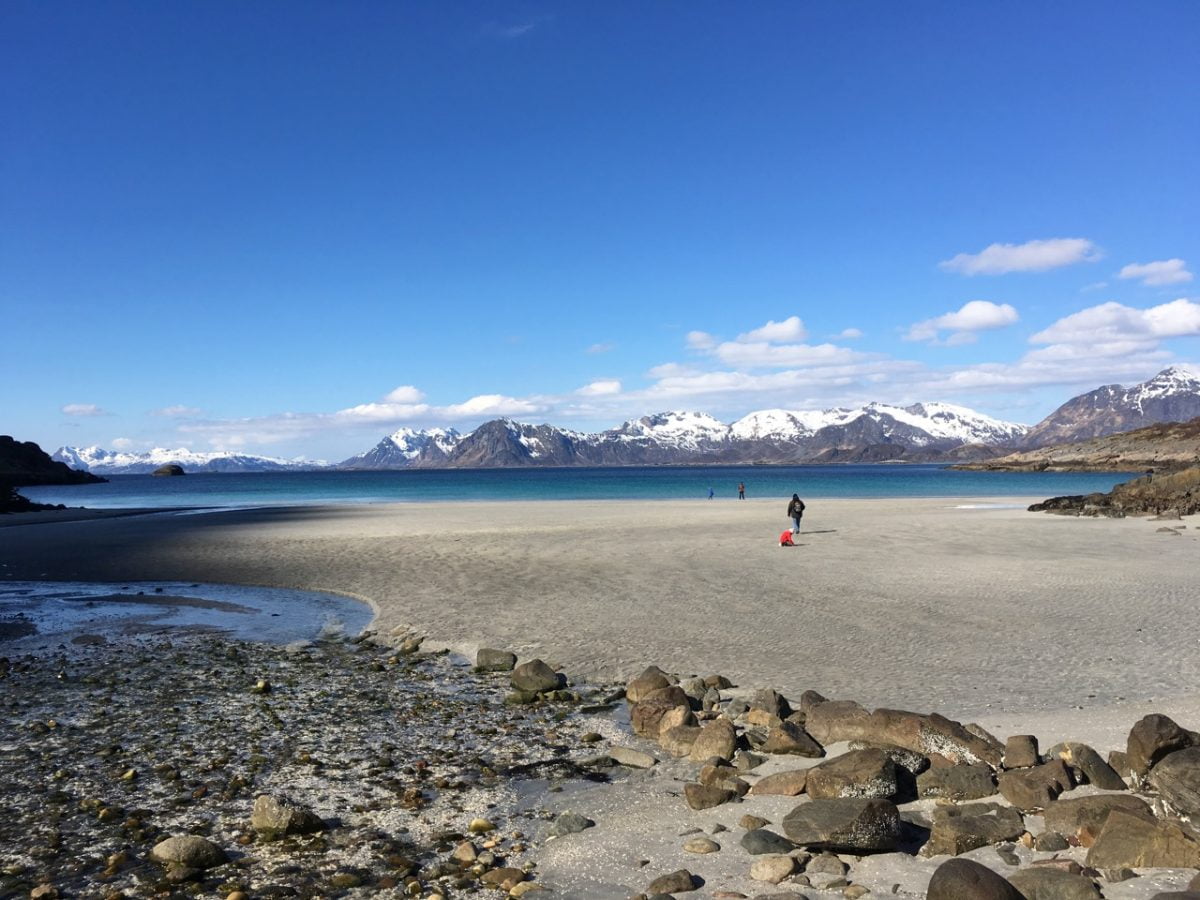 Stunning beach in Lofoten