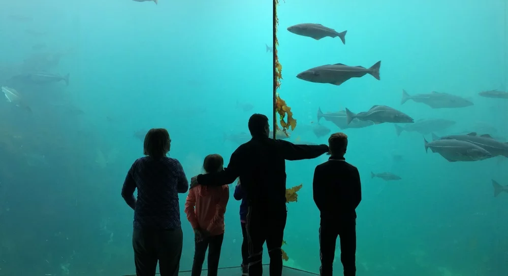 Ålesund aquarium