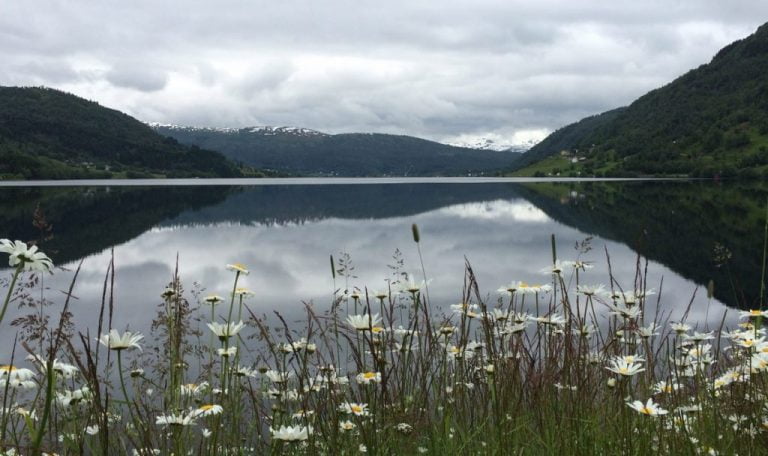 Reflections in the water