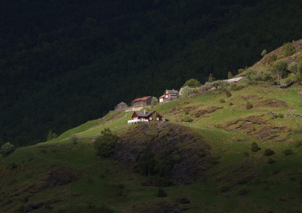 Houses near Flåm