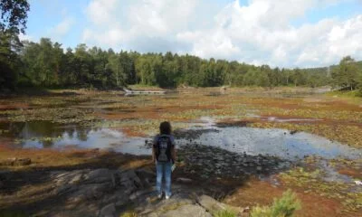 Kristiansand hiking