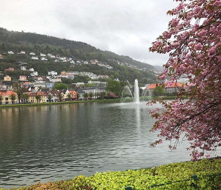 Lille Lungegårdsvannet: The city lake in Bergen, Norway