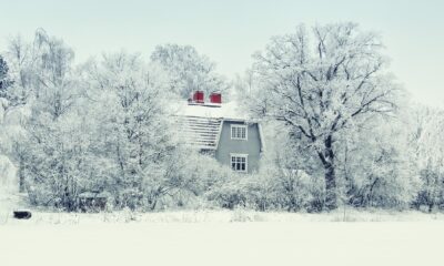 Nordic cool in the winter