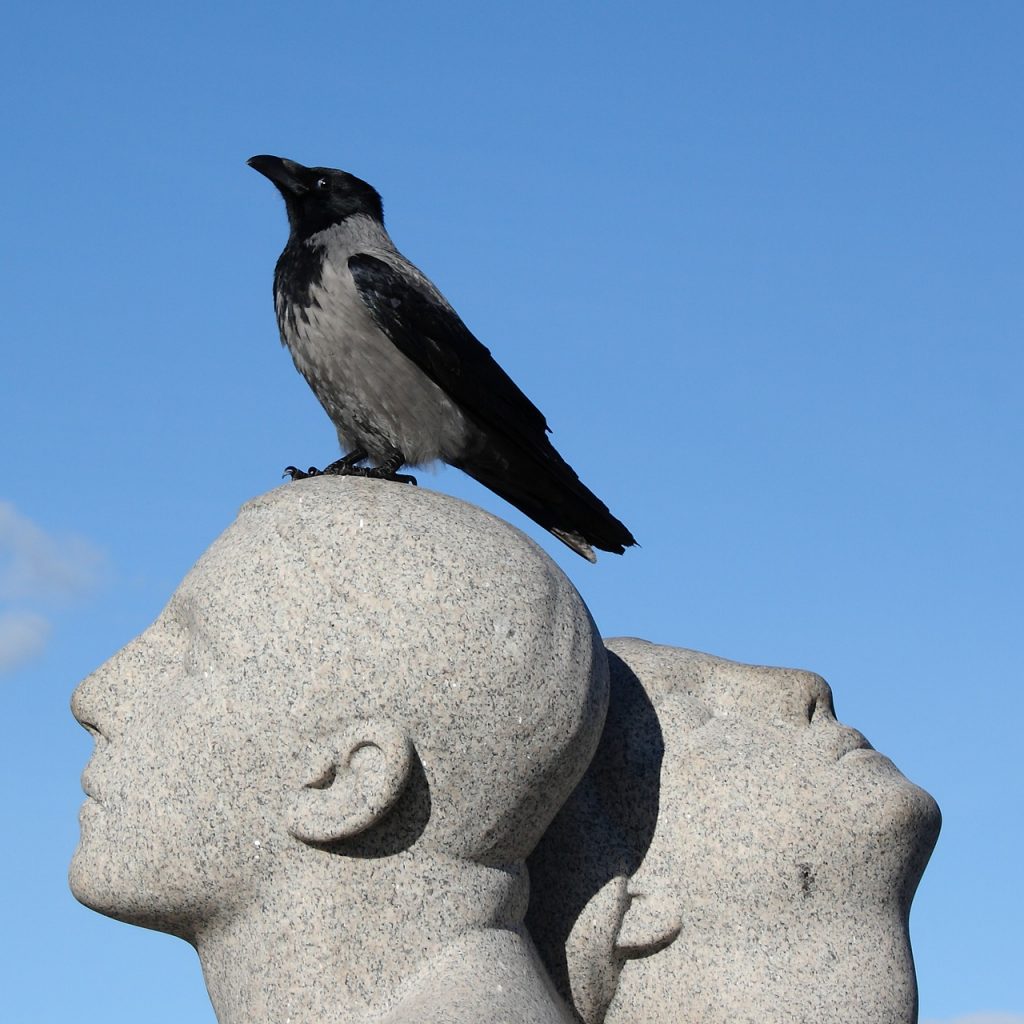 Bird on statue