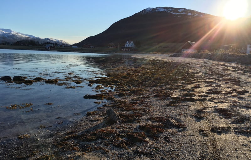 Nearby beach