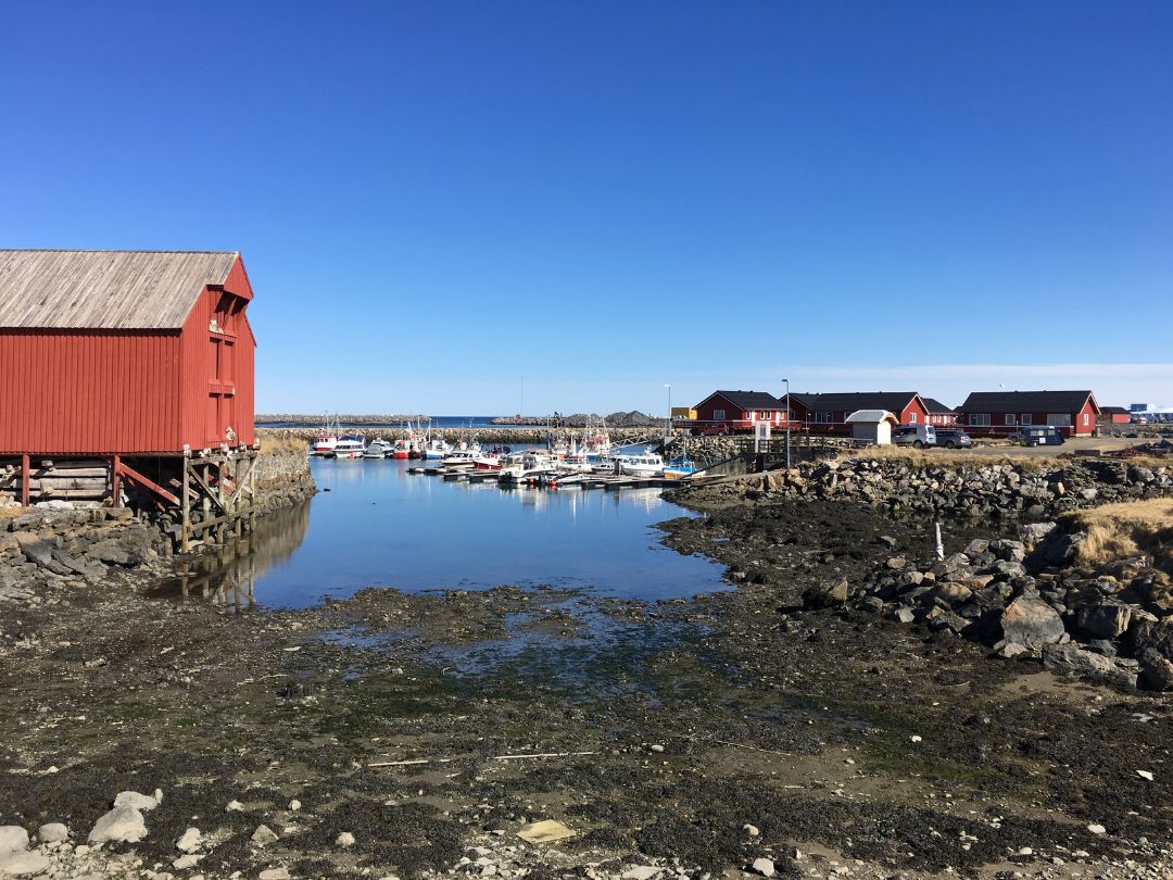 An Introduction to Vesterålen, Norway's Remote Northern Islands