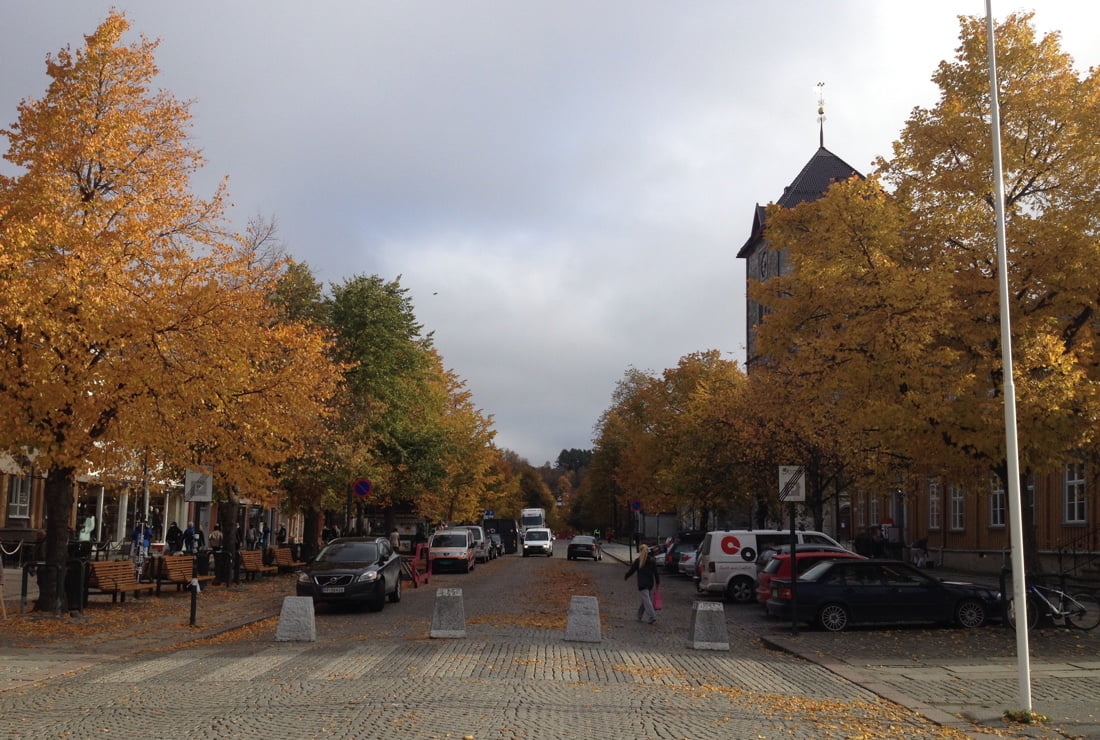 Trondheim in fall