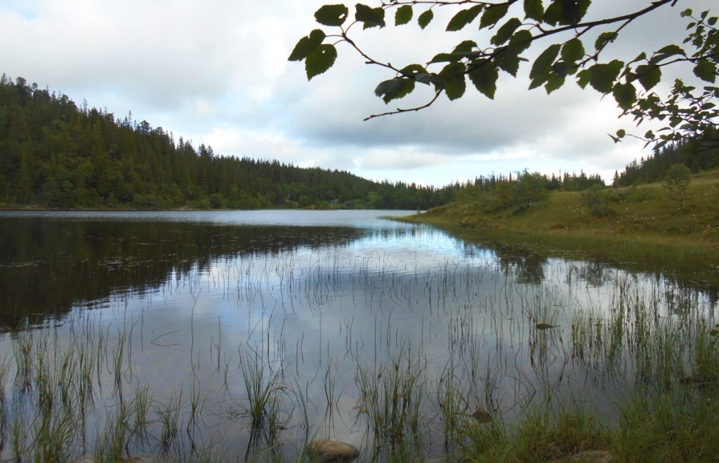 Vintervatnet lake