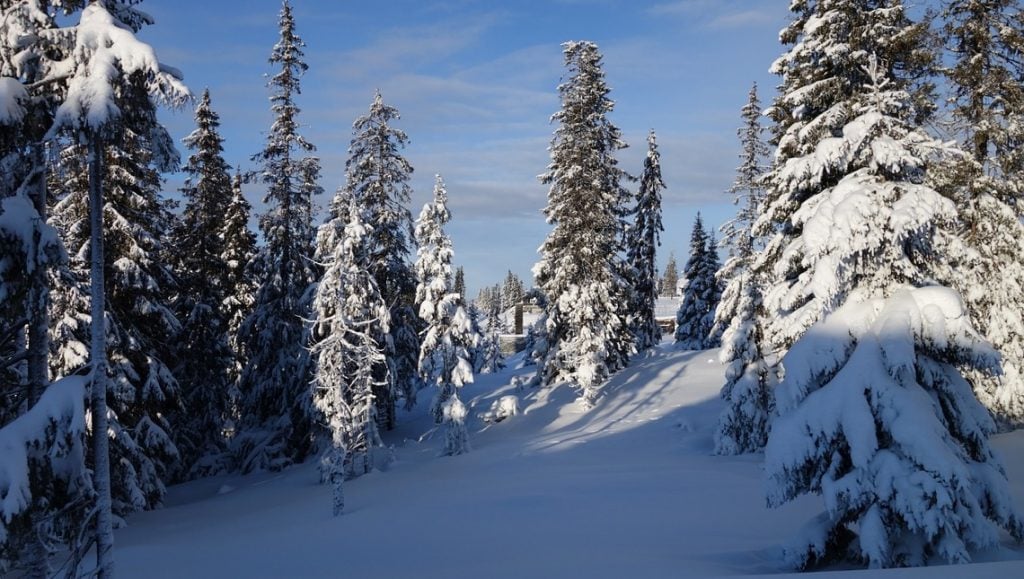 A winter scene in Lillehammer Norway