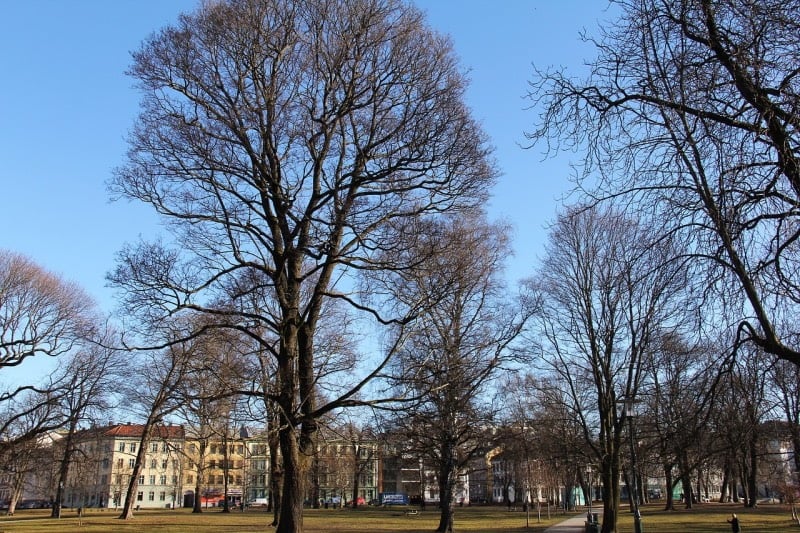 Grünerløkka on a clear winter day
