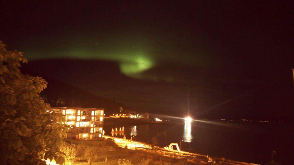 Northern lights in Trondheim