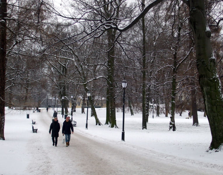 Oslo's Slottsparken in the snow