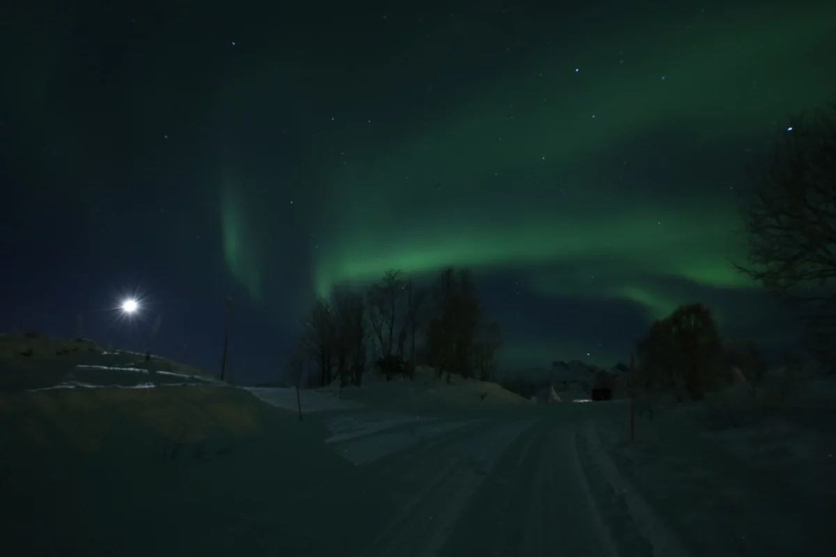 Polar night northern lights