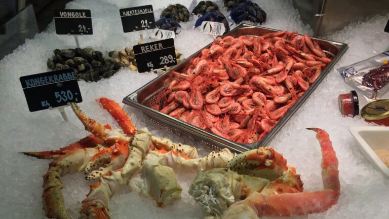 Seafood display on ice in Norway. Photo: David Nikel.