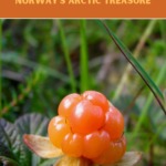 Cloudberries Norway Pin