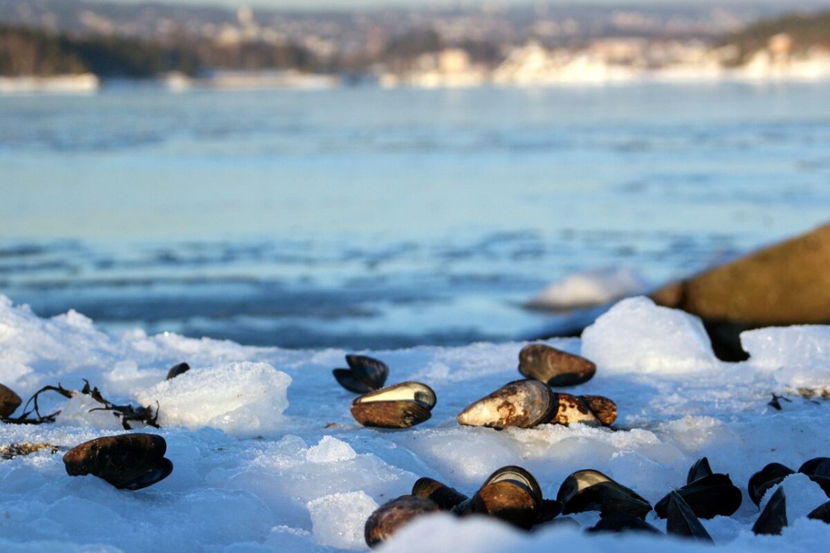 Gravel in Oslo