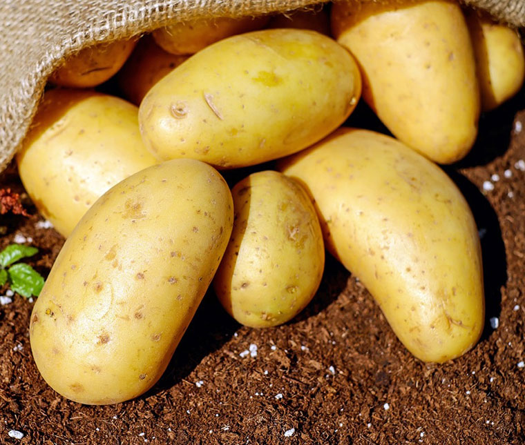 Even potatoes were rationed in the war