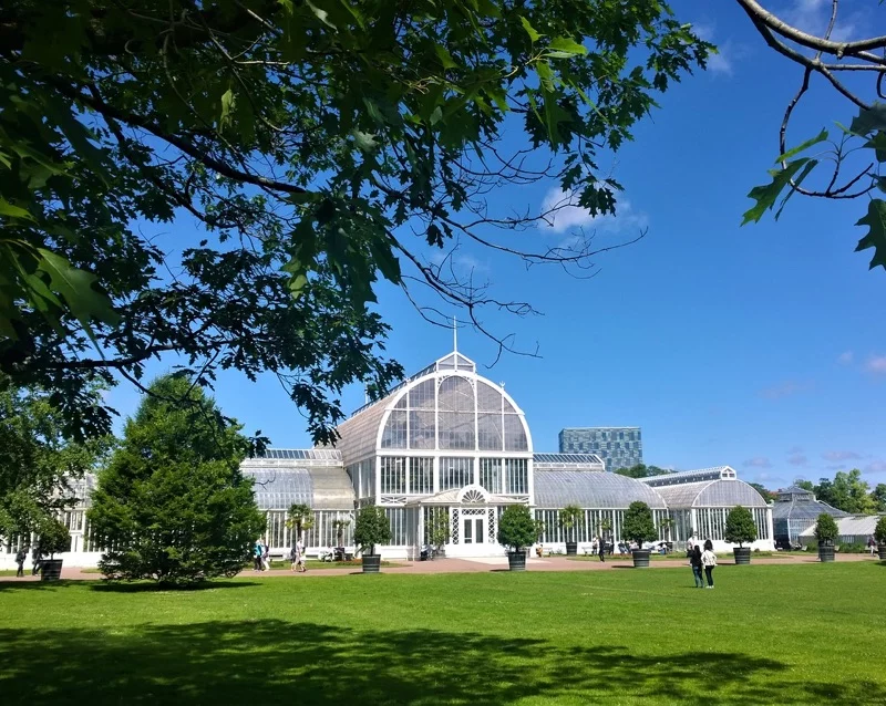 Gothenburg Palm House