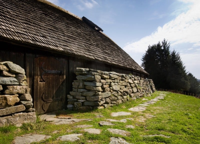 Example Viking longhouses