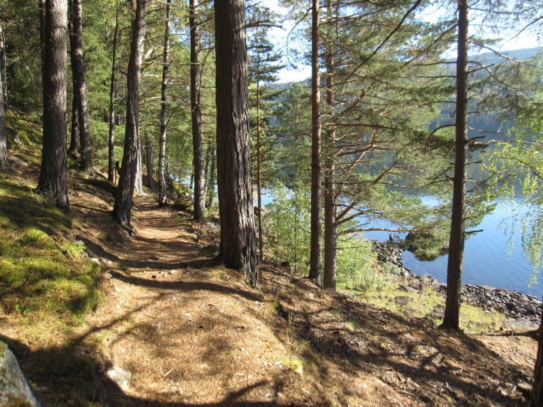 Walk the promontory trail in Fagernes.