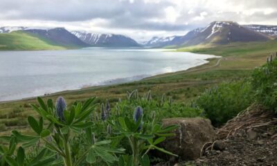 The landscape of Iceland's Westfjords