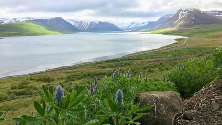 The landscape of Iceland's Westfjords. Photo: David Nikel.