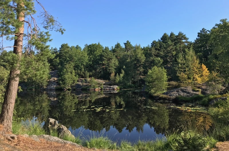 Baneheia recreational area in Kristiansand. Photo: David Nikel.