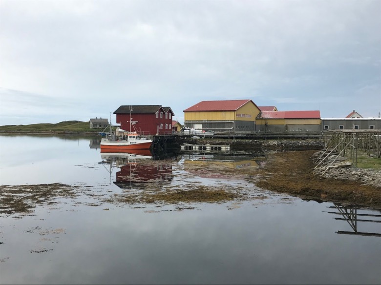 Fisherman's houses by the sea in Røst