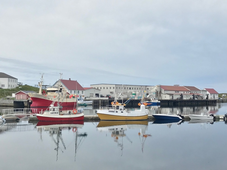 The fishing industry in Lofoten