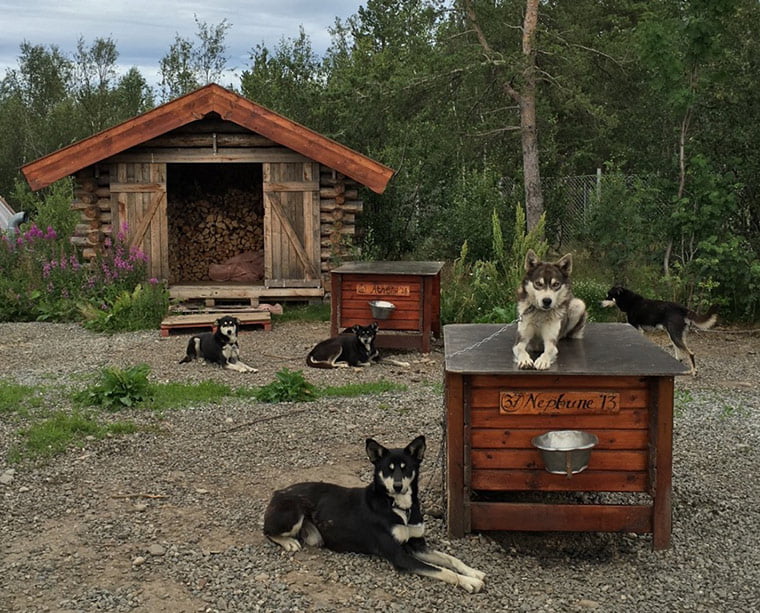 Holmen Husky Lodge in Alta, Norway