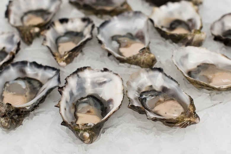 Oysters from the Oslofjord in Norway
