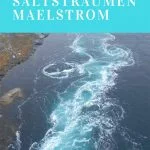 Saltstraumen winter pin