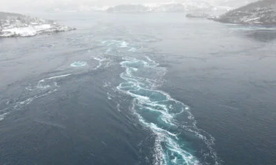 A visit to snowy Saltstraumen near Bodø, Norway