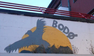 Eagle street art in Bodø, Norway