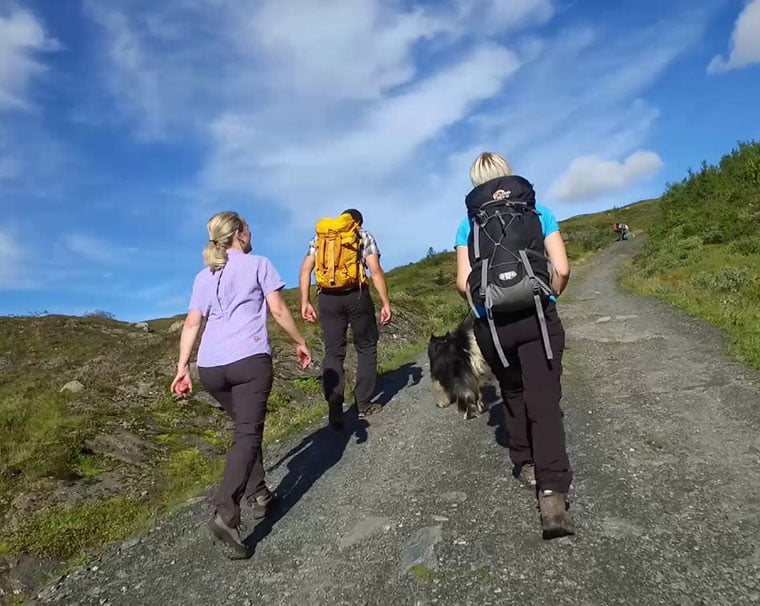 Hikers on the trail to Lønahorgi near Voss in Norway