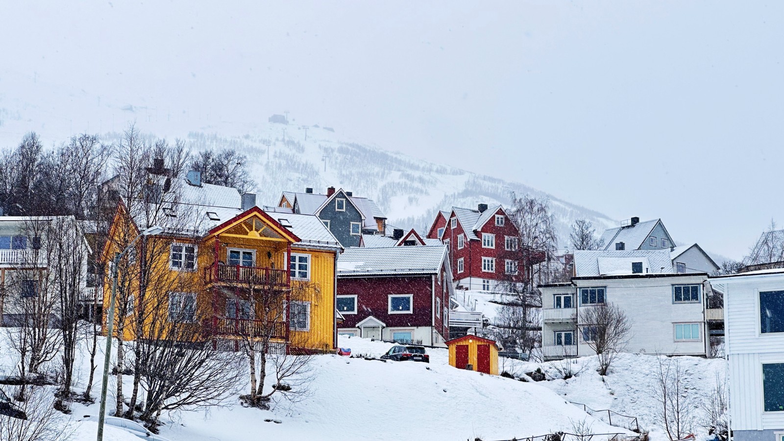 Fresh snowfall in Narvik, Northern Norway. Photo: David Nikel.