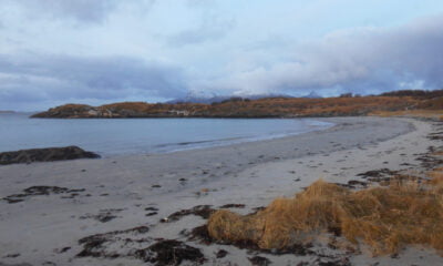 Løpsvika is one of the great beaches near Bodø in northern Norway