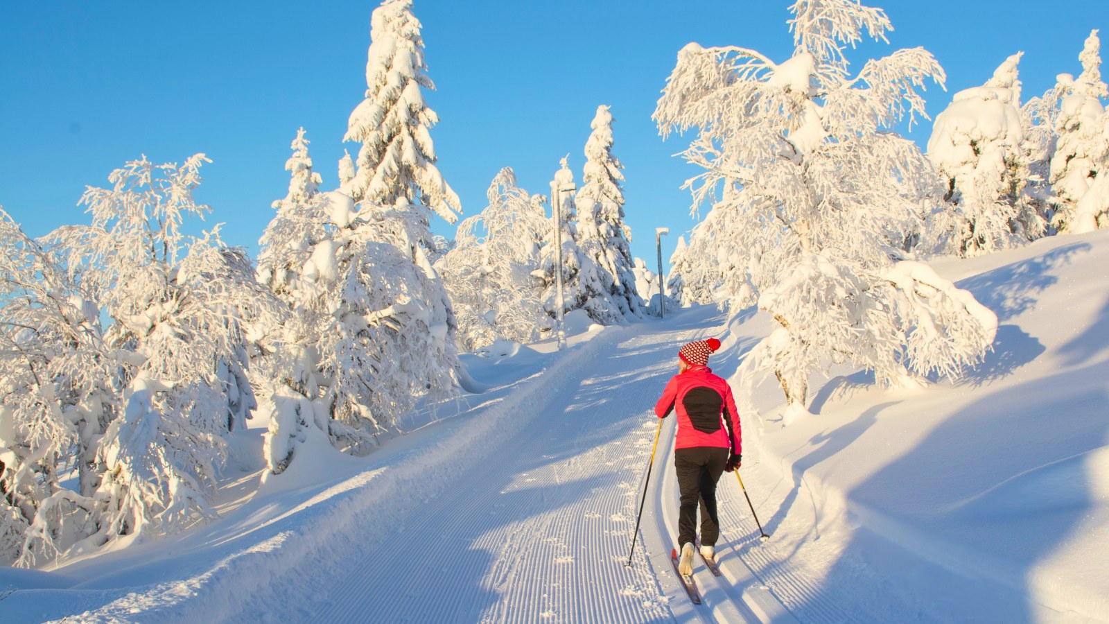 A cross-country skier on a trail in Norway.