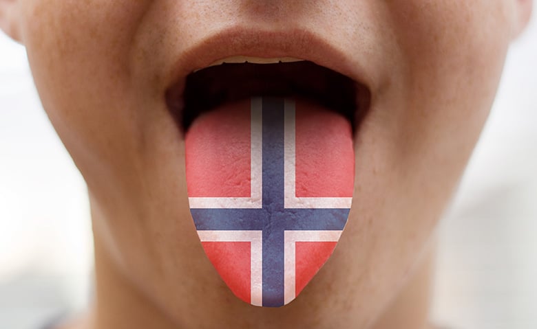 Learn the Norwegian tongue in six months