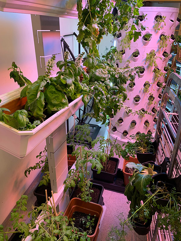 Inside the hydroponics lab of Polar Permaculture in Svalbard