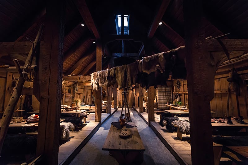 Inside a Viking household