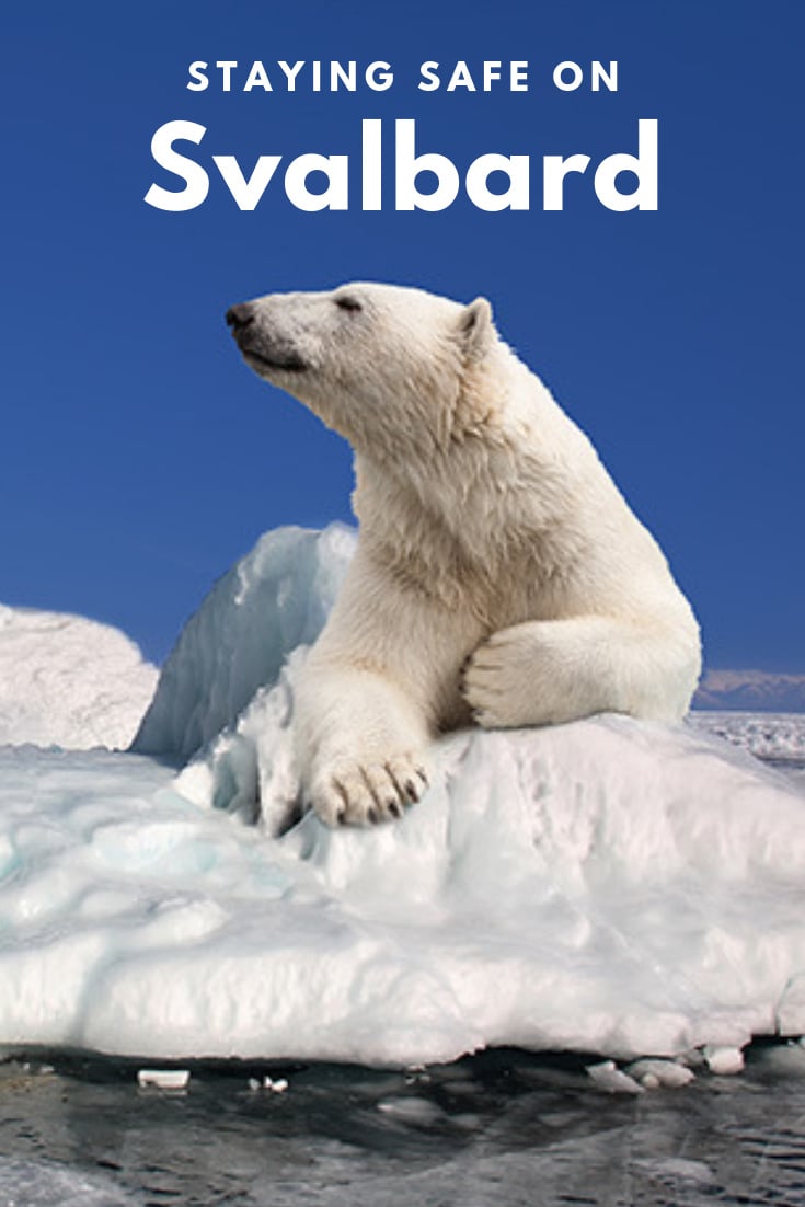 Polar bear safety: How to stay safe in Longyearbyen and on Svalbard