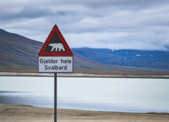 Staying Safe on Svalbard